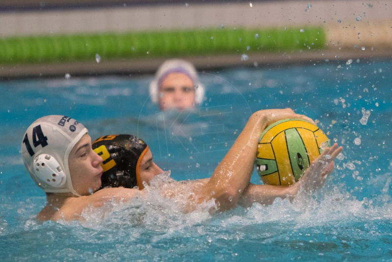 Novinky / Druhý ročník Miki Cupu ovládli naši mladí sršni - foto Novinky / Druhý ročník Miki Cupu ovládli naši mladí sršni - foto