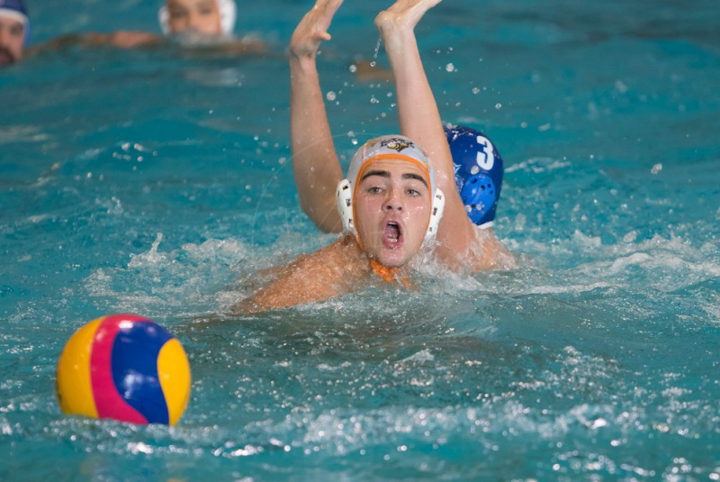 Novinky / Poznačte si do kalendára, rozpis sršňov v novej extraligovej sezóne - foto