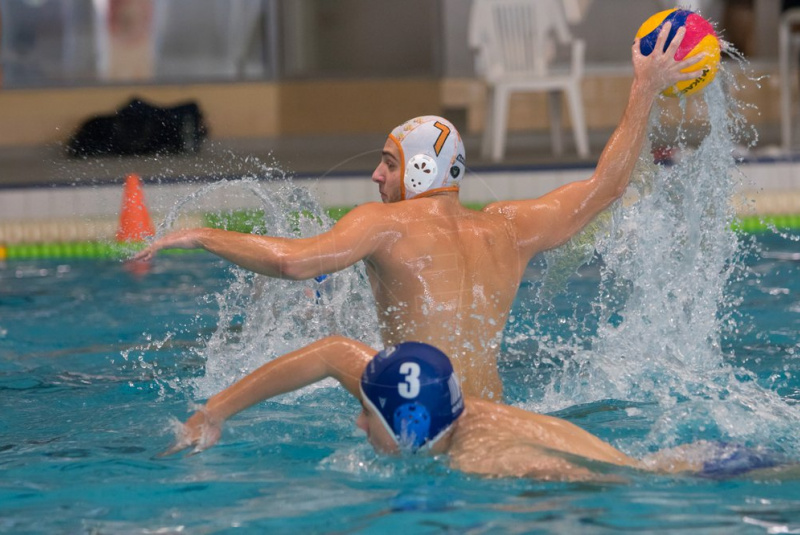 Hornets vs. Draci v sezóne 2019/2020