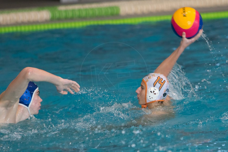Hornets vs. Draci v sezóne 2019/2020