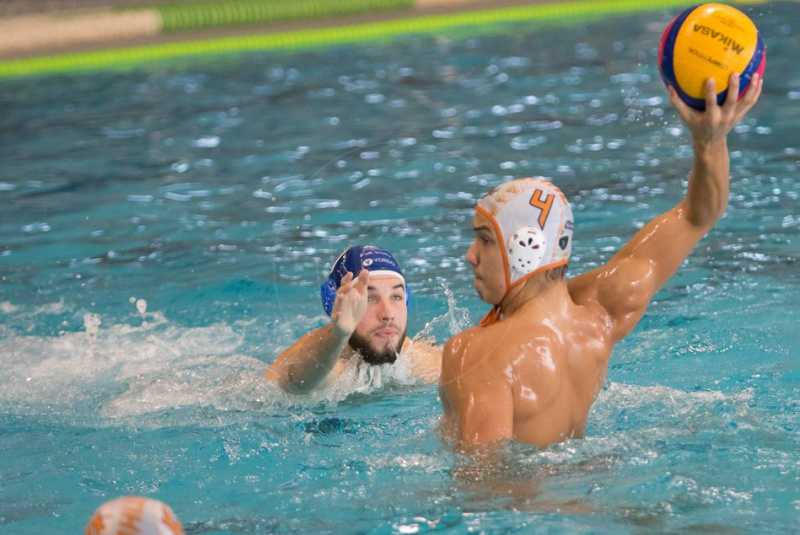Hornets vs. Draci v sezóne 2019/2020