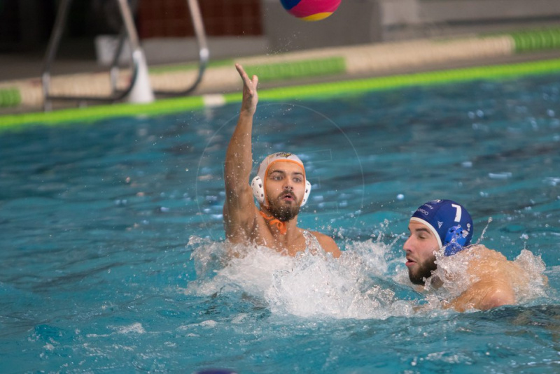 Hornets vs. Draci v sezóne 2019/2020