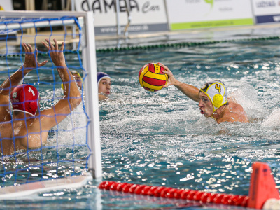 Naše Sršne sa výrazne priblížili k postupu do finále, po domácich dueloch vyhrávajú 2:0, radi by rozhodli o postupe do finále v Bratislave!